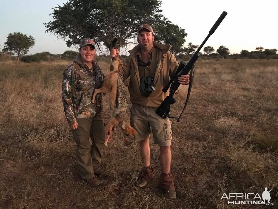 South Africa Jackal Hunt