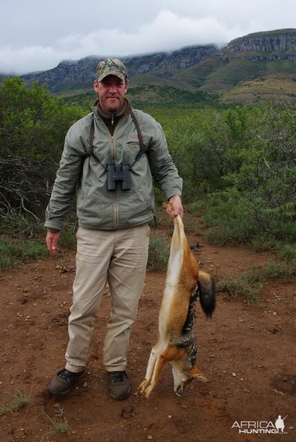 South Africa Jackal Hunting