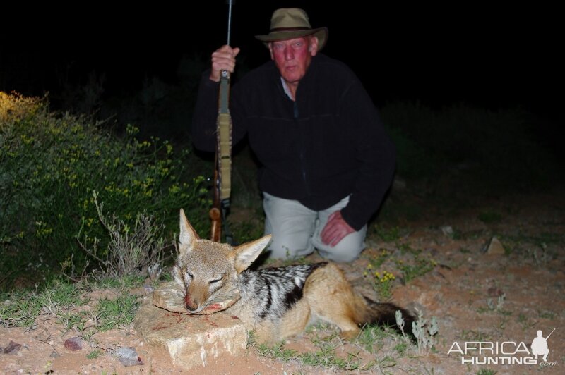 South Africa Jackal Hunting