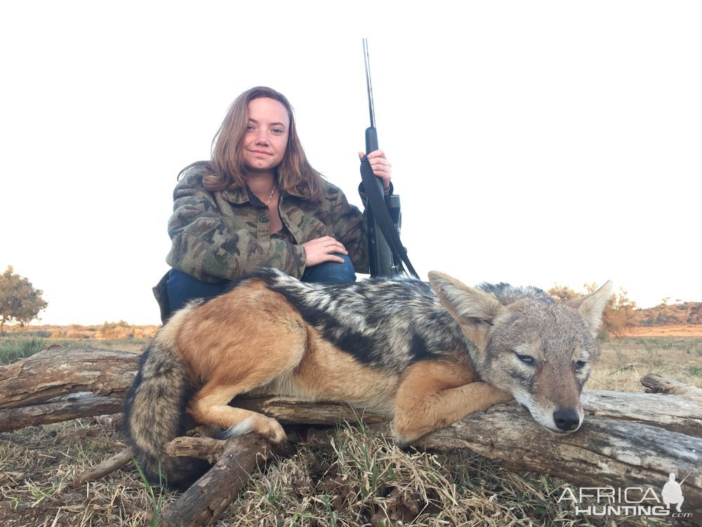 South Africa Jackal Hunting