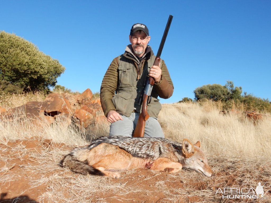 South Africa Jackal Hunting