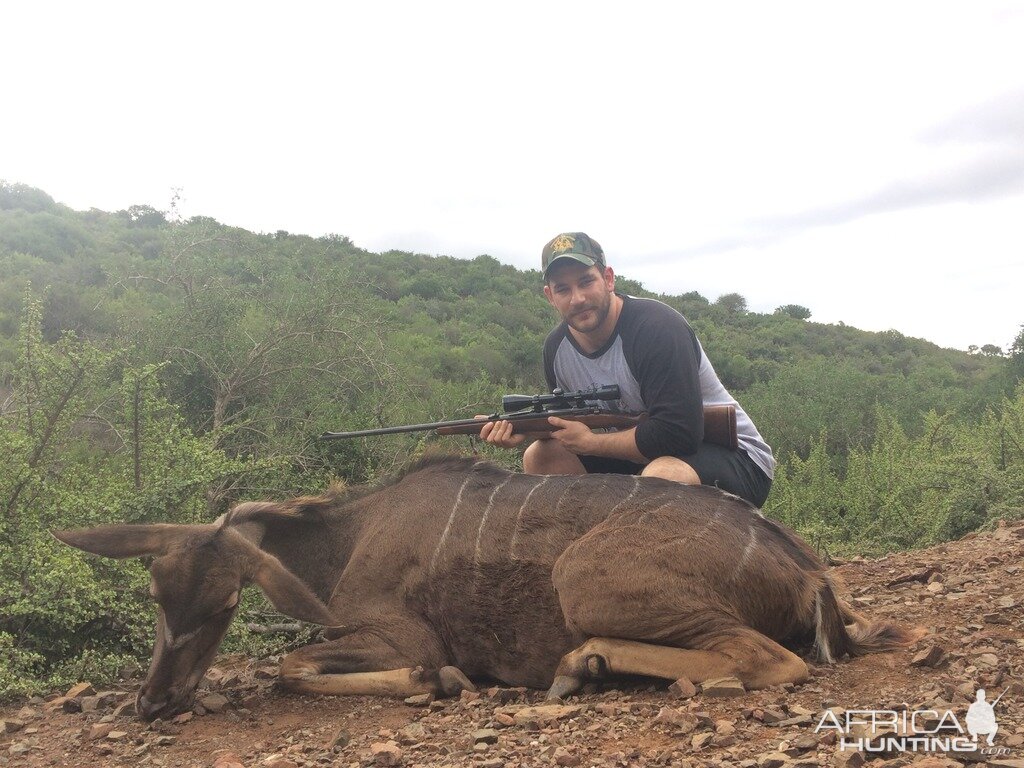 South Africa Kudu Cow Cull Hunt