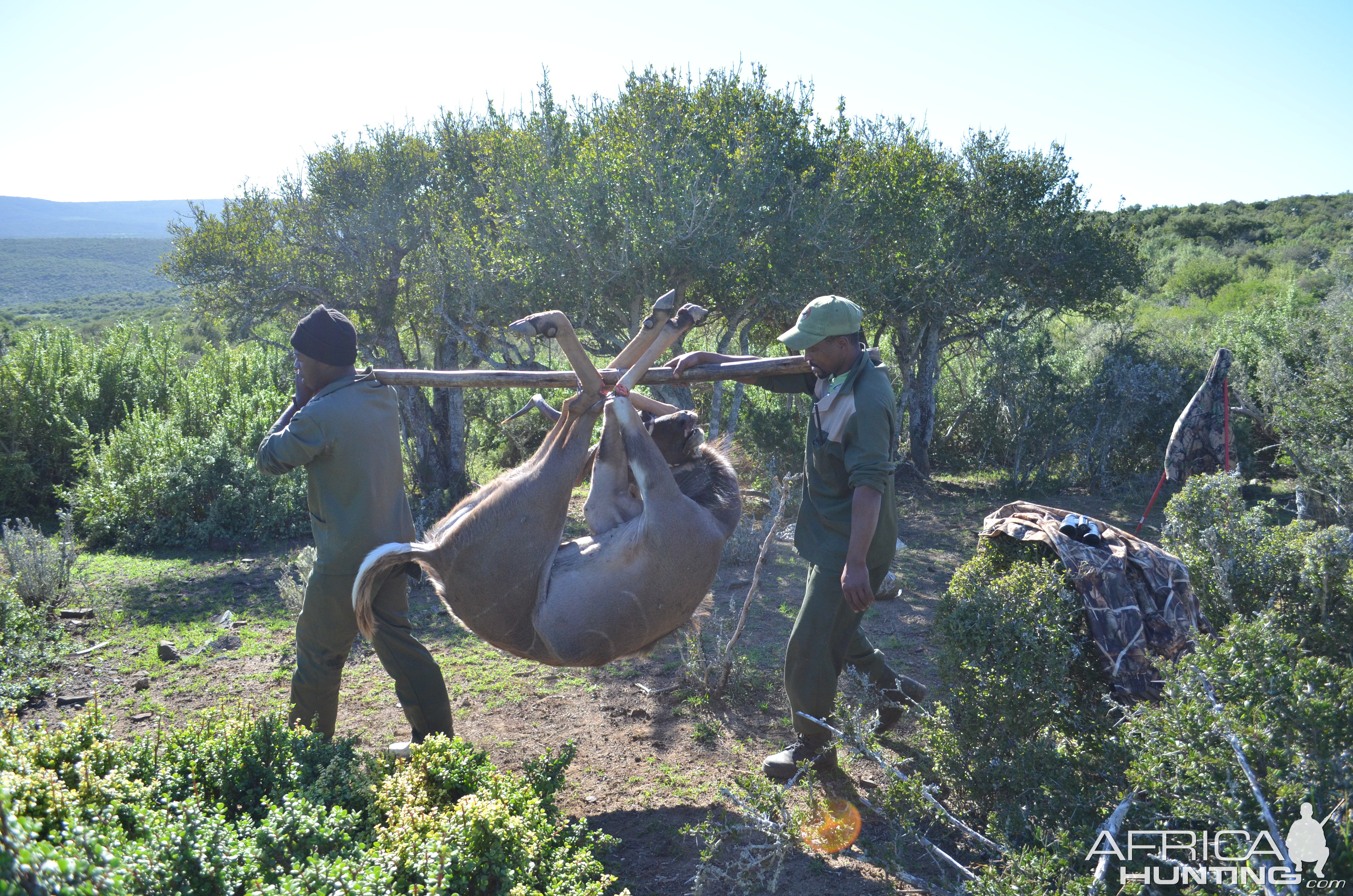 South Africa Kudu Hunting