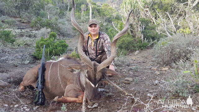 South Africa Kudu Hunting