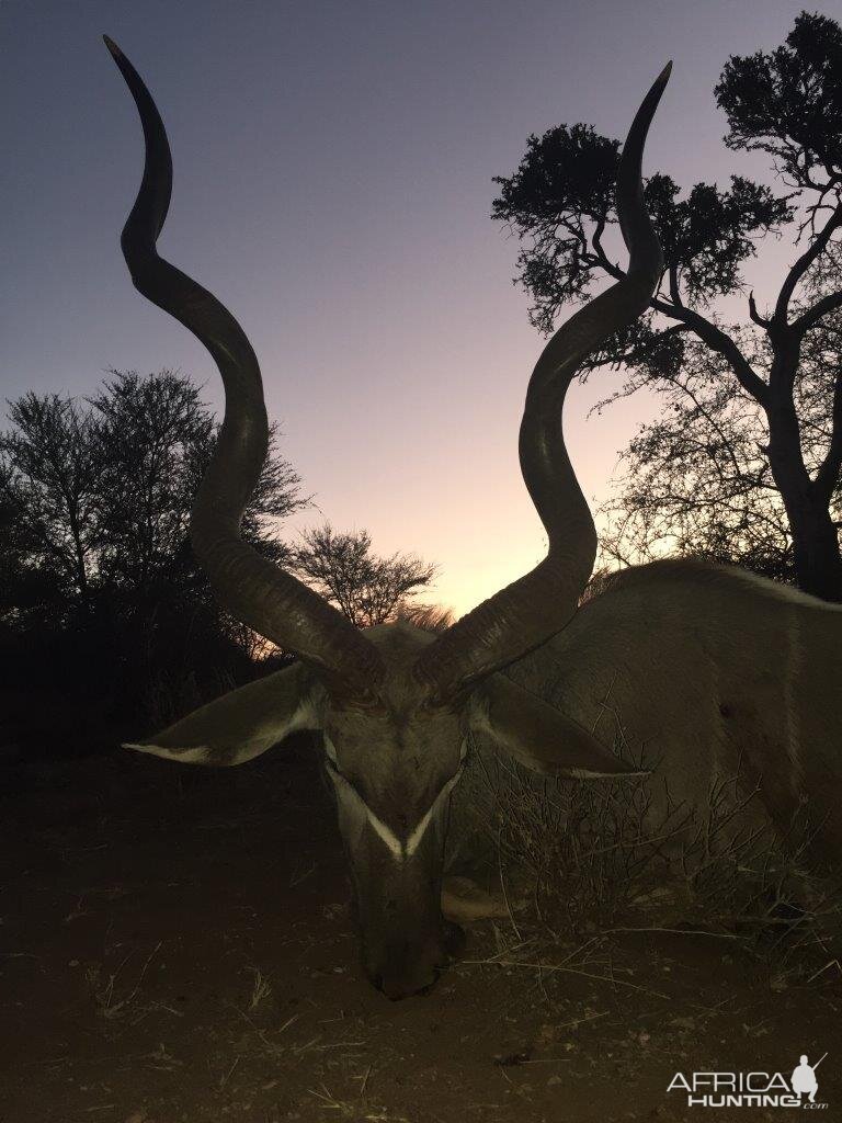 South Africa Kudu Hunting