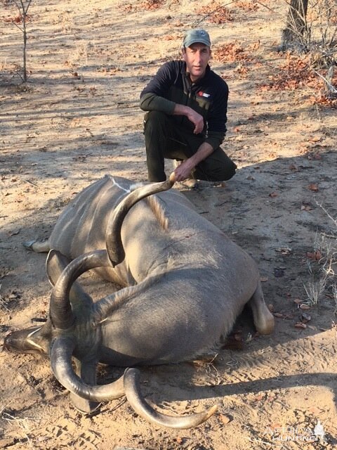 South Africa Kudu Hunting