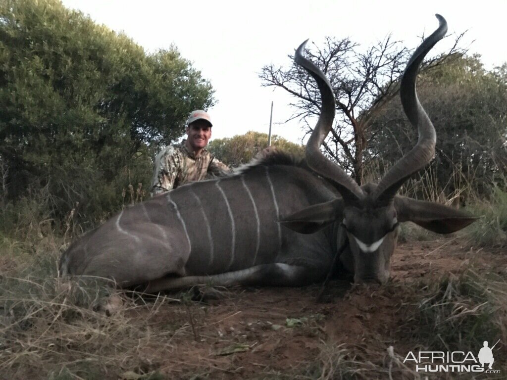 South Africa Kudu Hunting