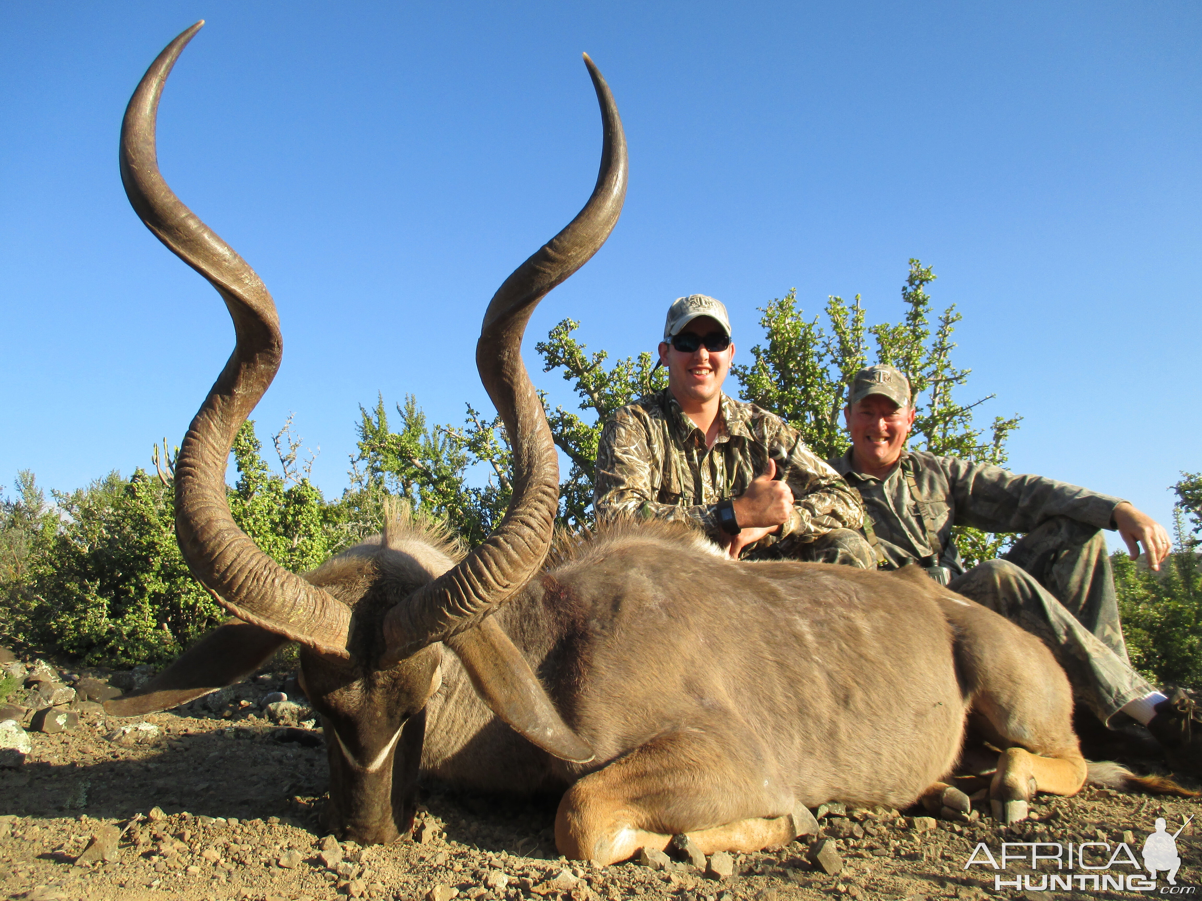 South Africa Kudu Hunting