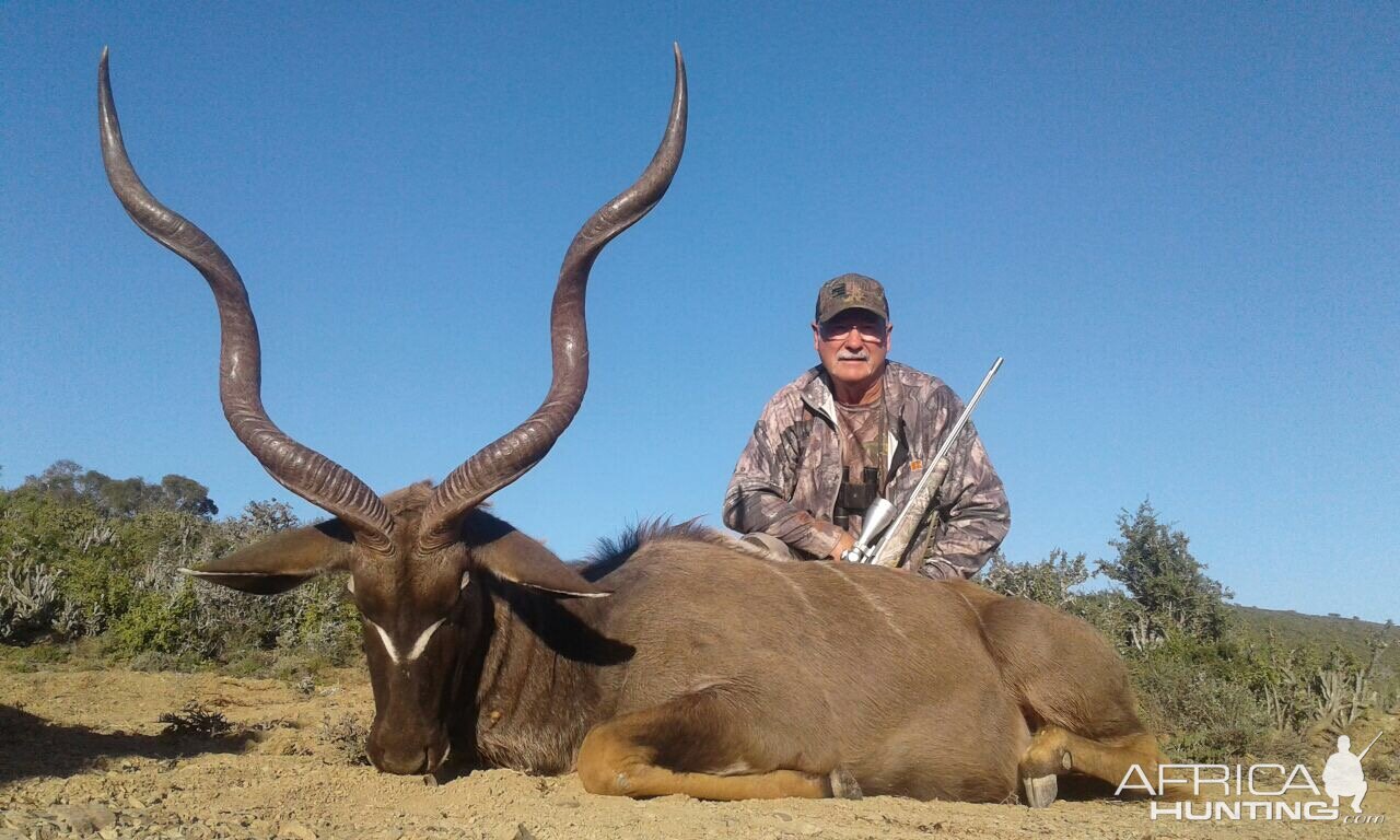 South Africa Kudu Hunting