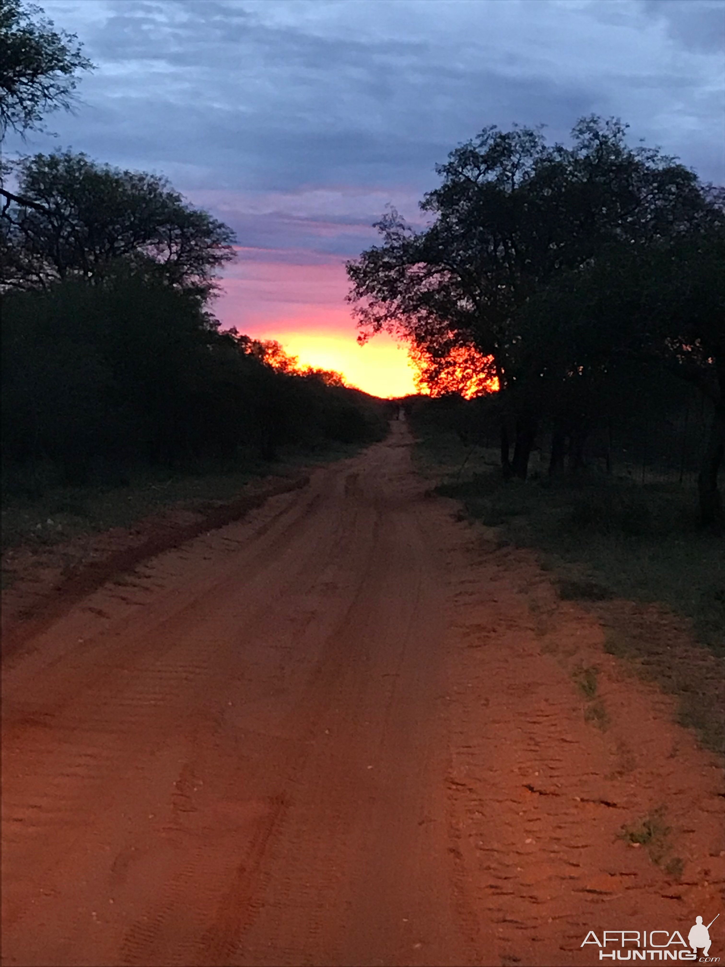 South Africa Landscape