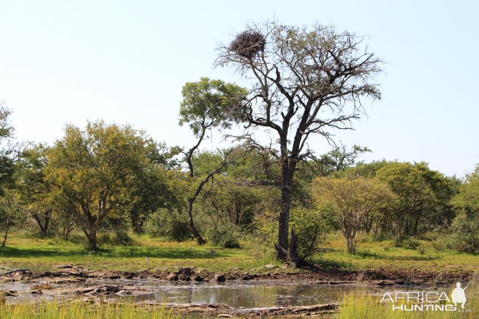 South Africa Landscape