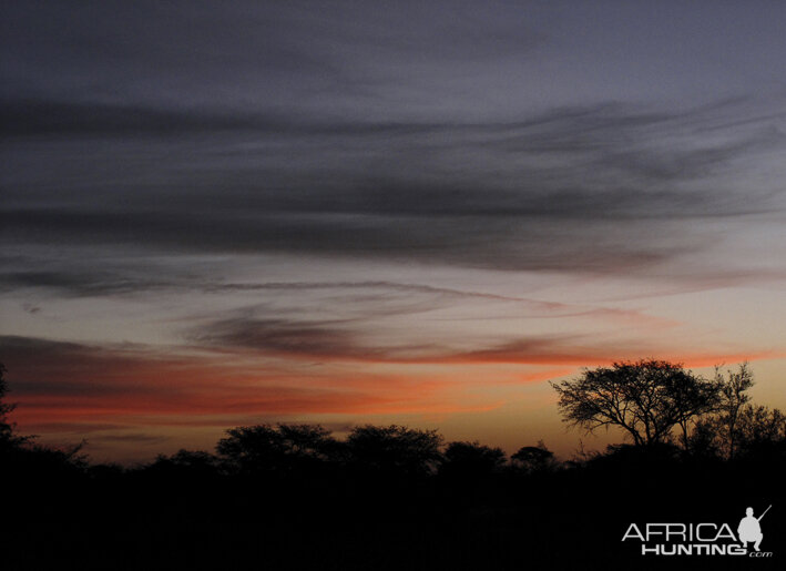 SOUTH AFRICA, Limpopo province. August of 2009