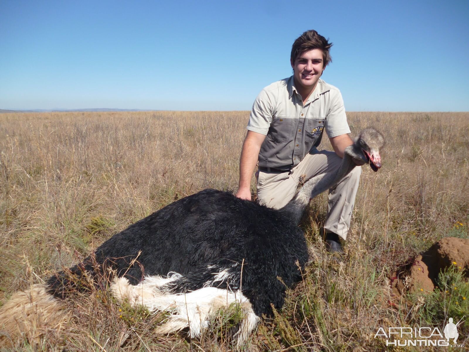 South Africa Ostrich Hunt