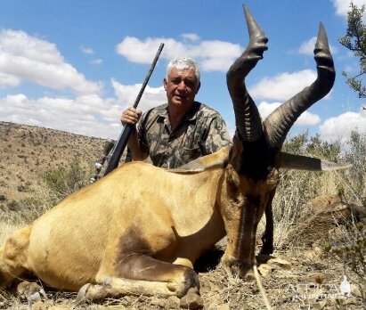 South Africa Red Hunting Hartebeest