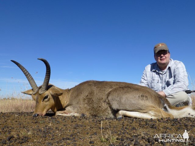 South Africa Reedbuck Hunt