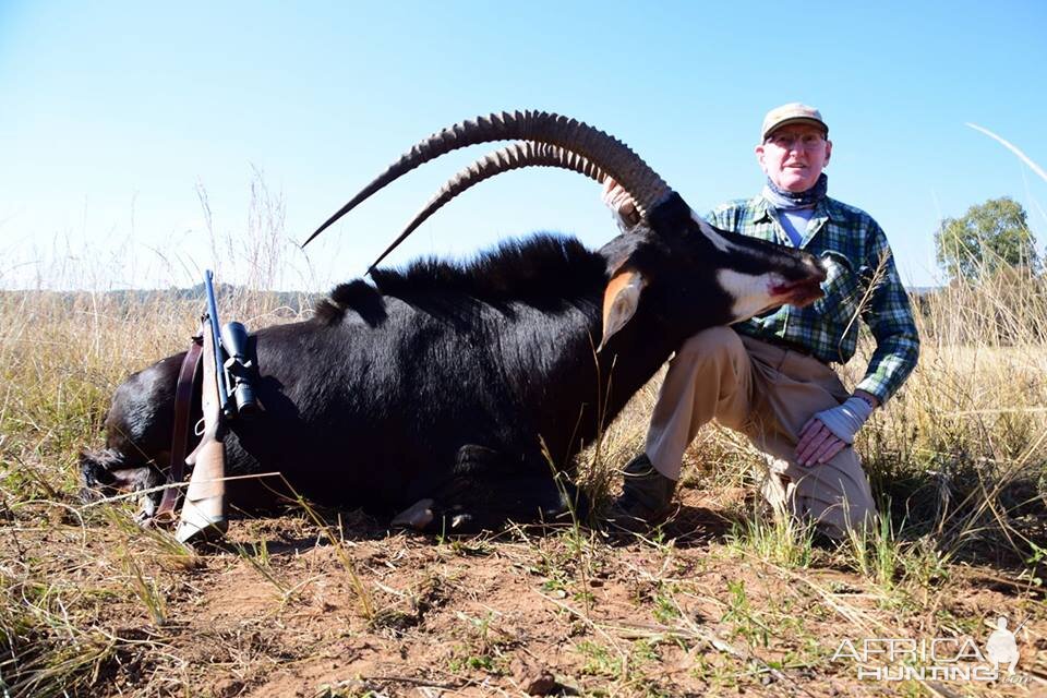 South Africa Sable Antelope Hunt