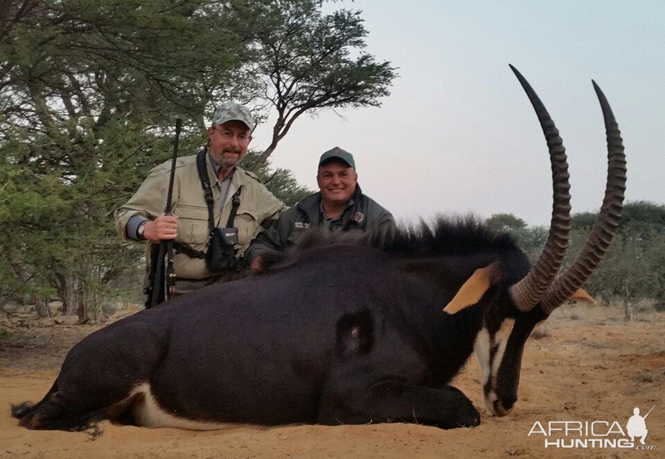 South Africa Sable Hunt