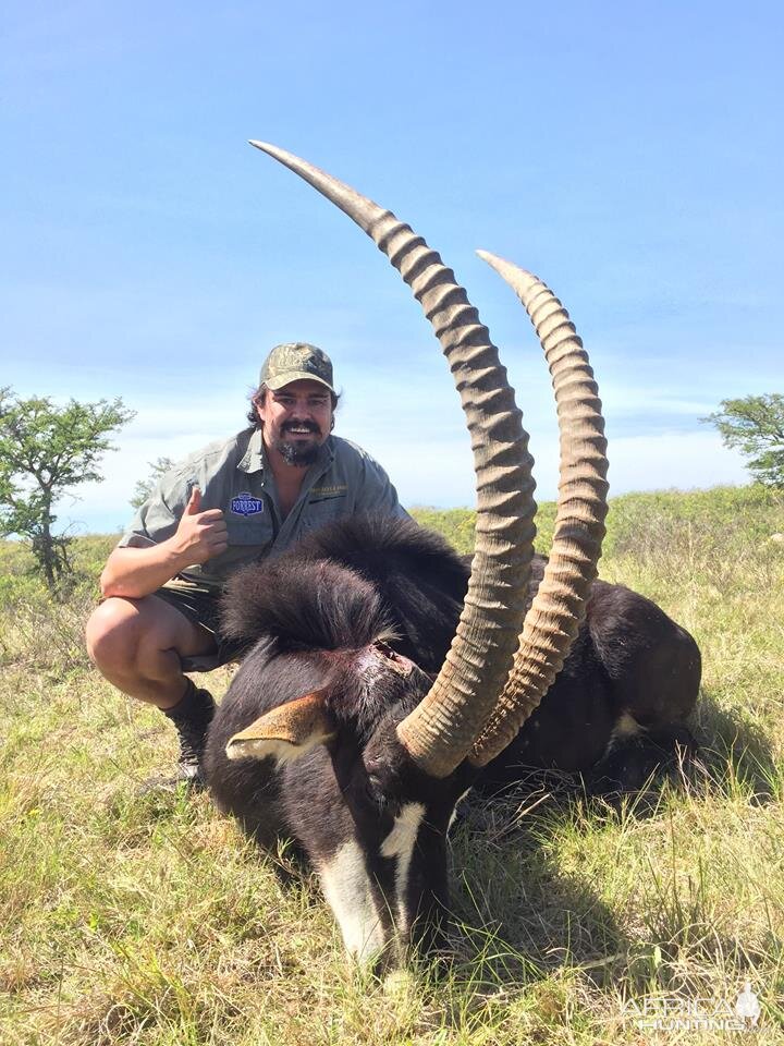 South Africa Sable Hunt