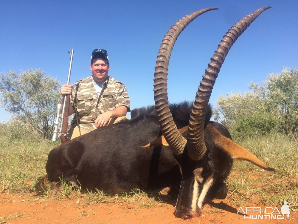 South Africa Sable Hunt