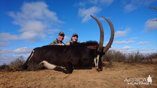 South Africa Sable Hunt