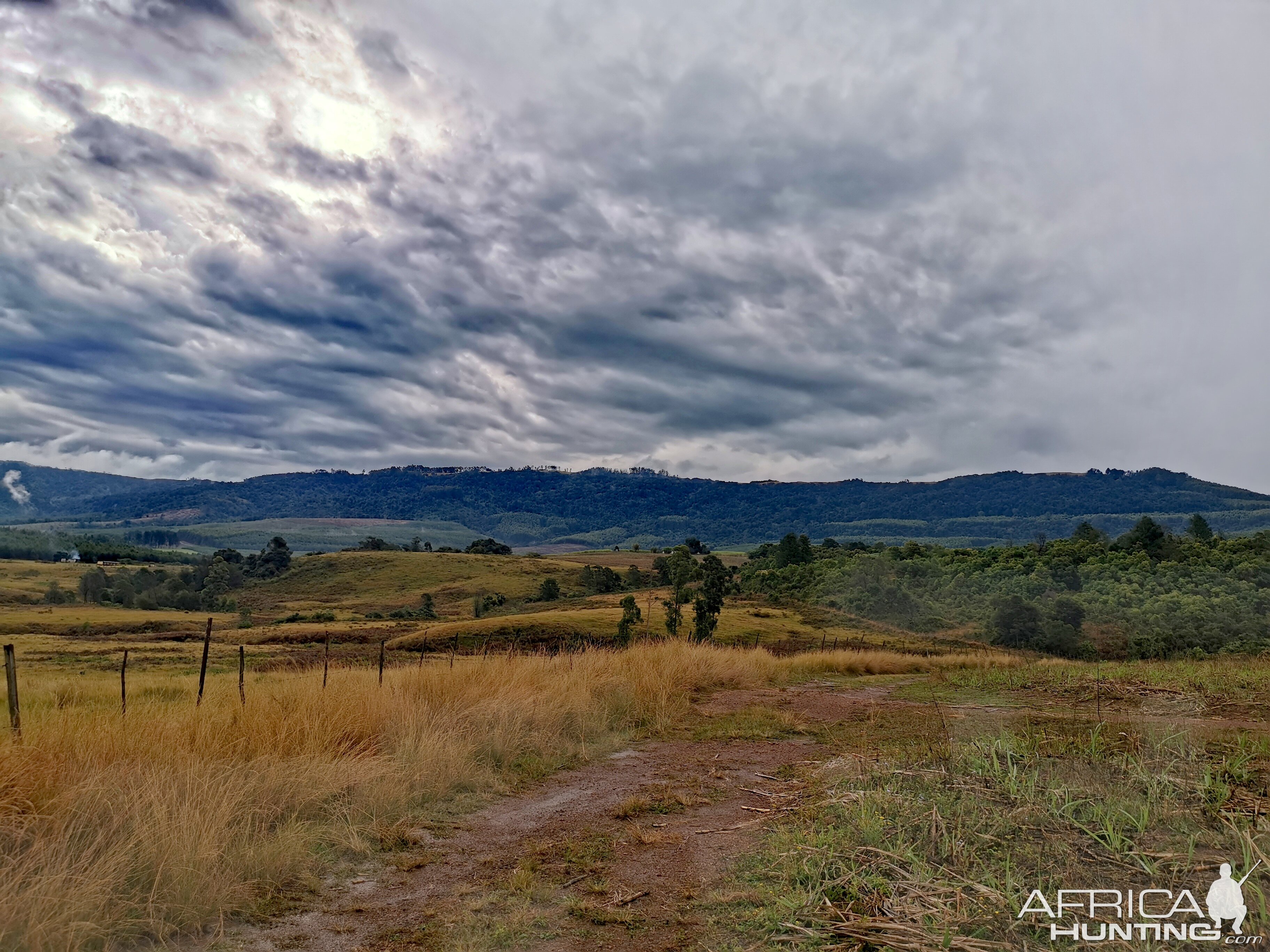 South Africa Scenery