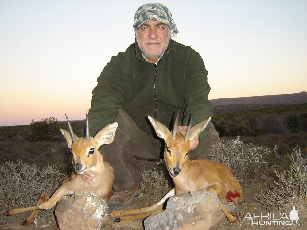 South Africa Steenbok Hunting