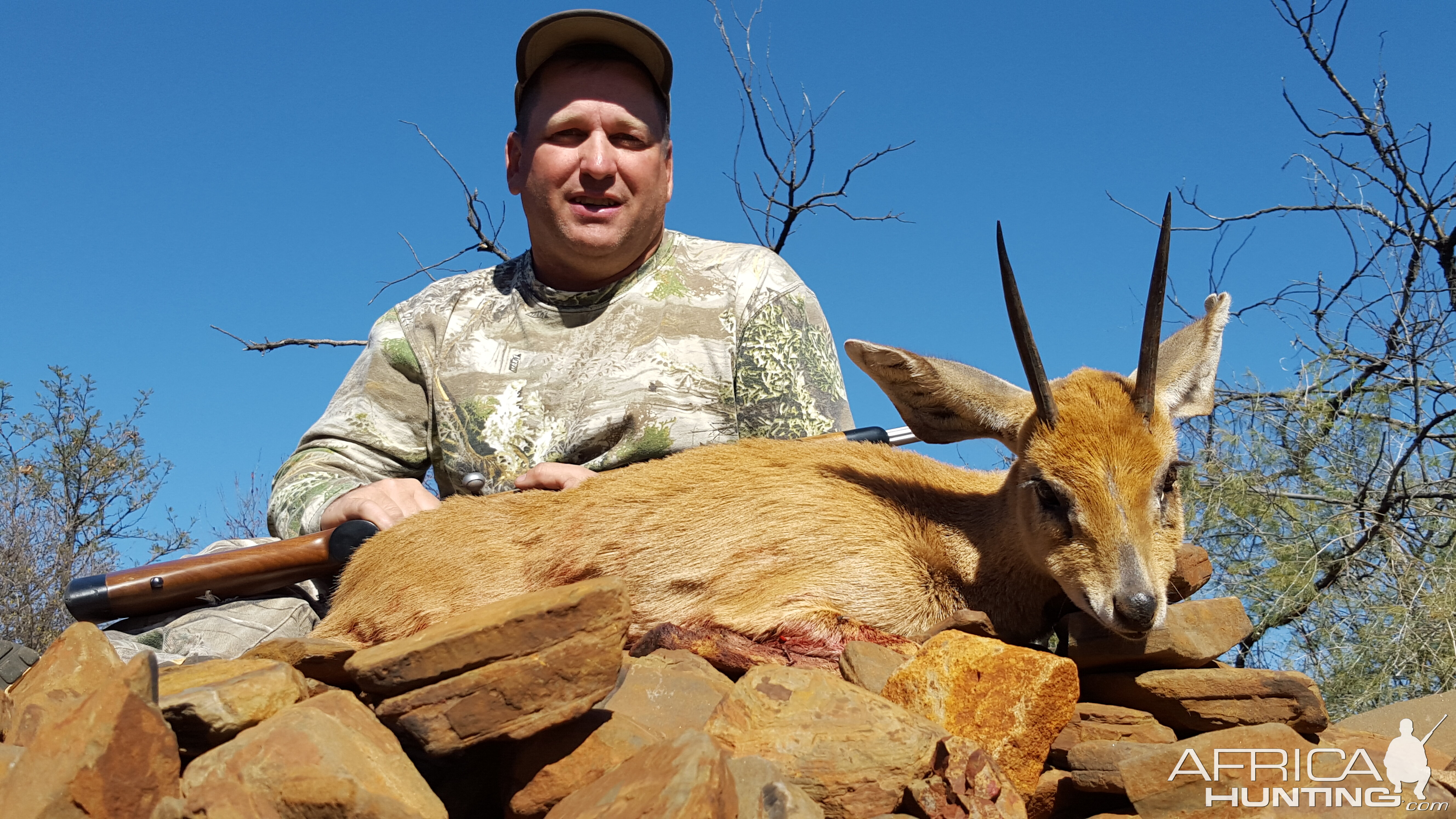 South Africa Steenbok Hunting