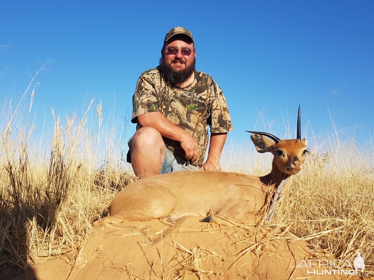 South Africa Steenbok Hunting