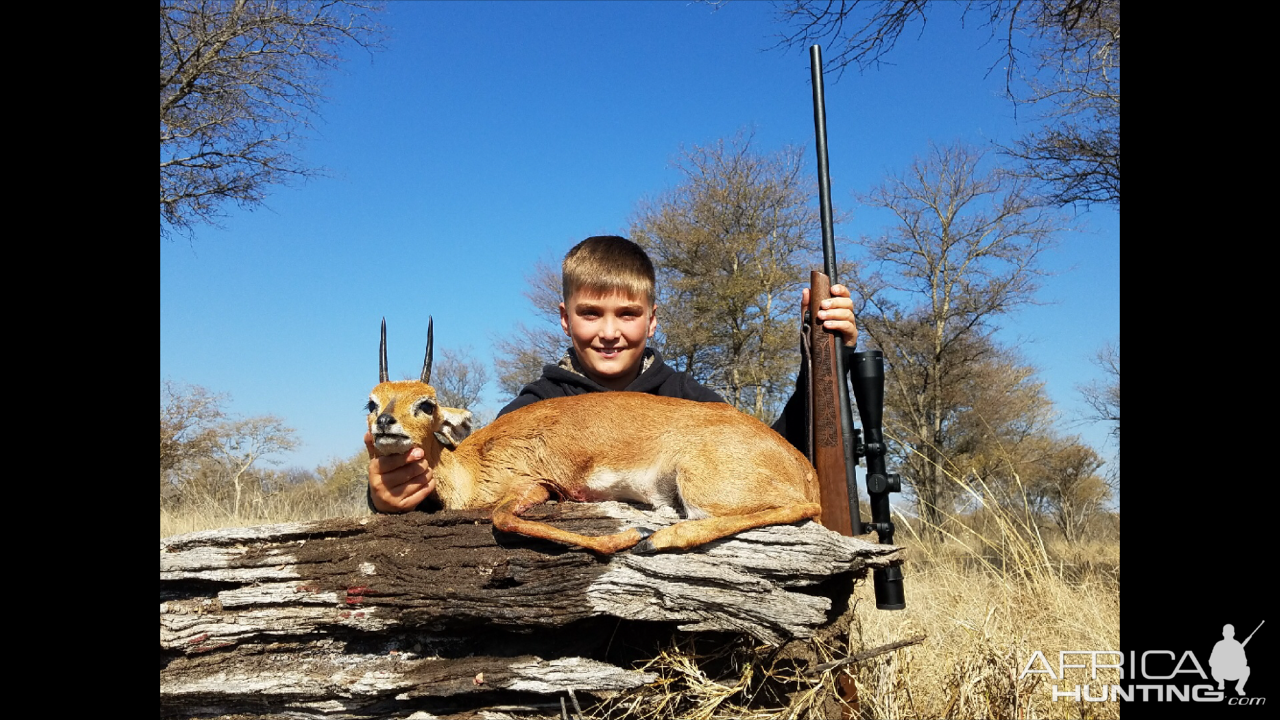 South Africa Steenbok Hunting