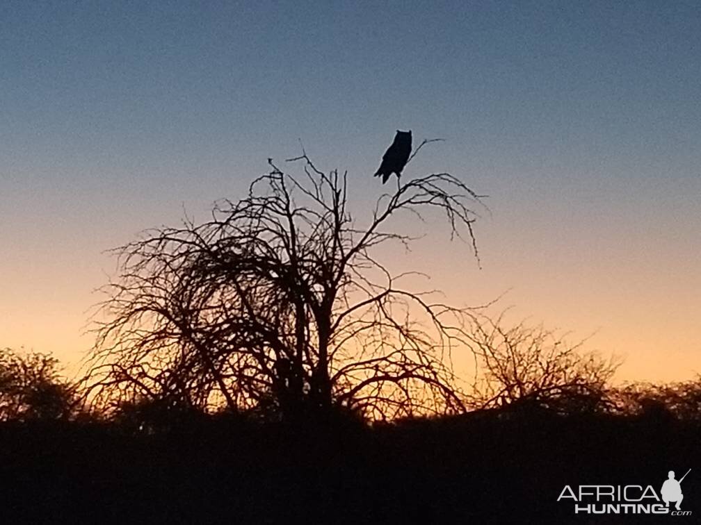 South Africa Sunset