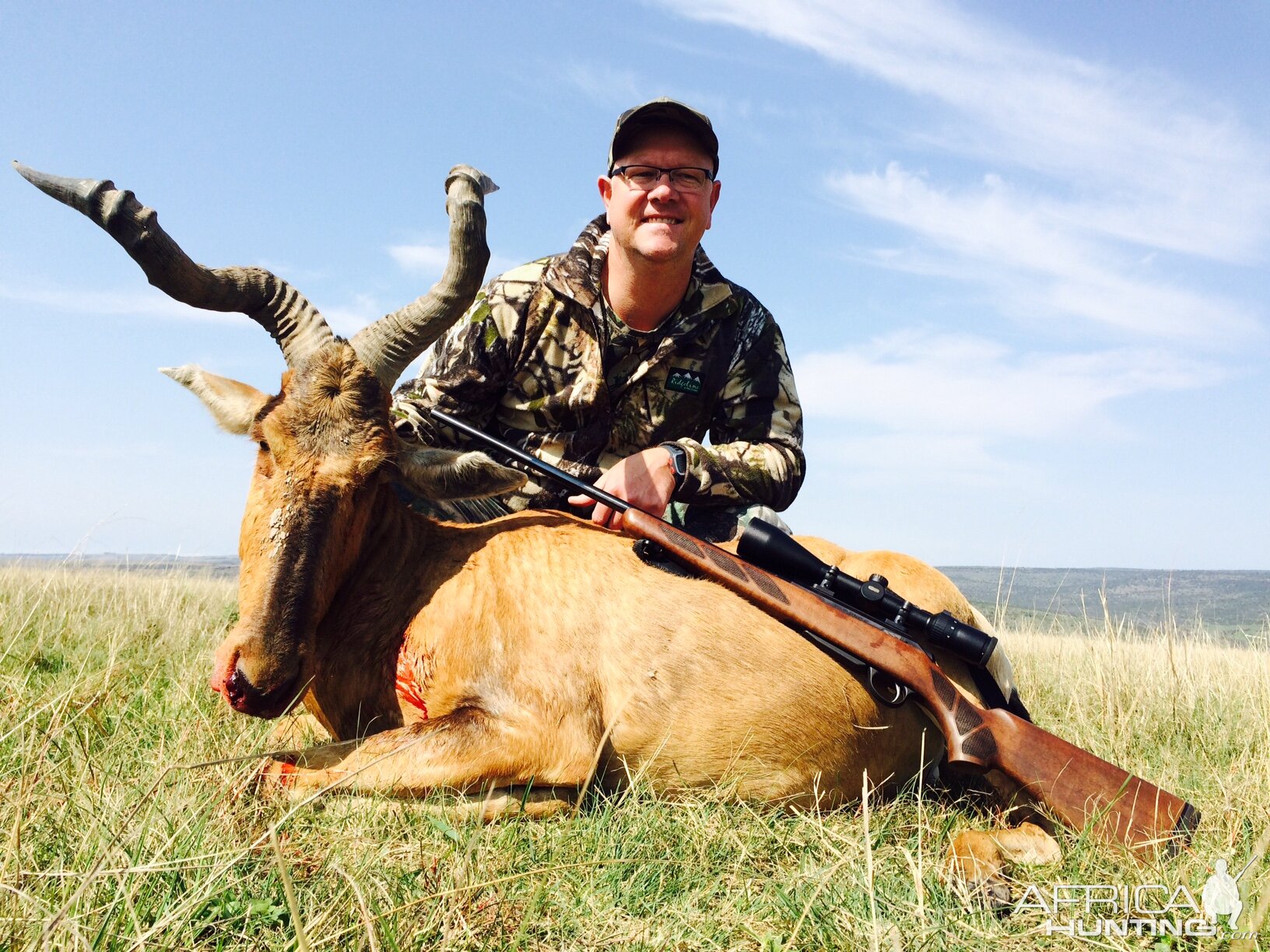 South Africa Unusual Red Hartebeest Trophy