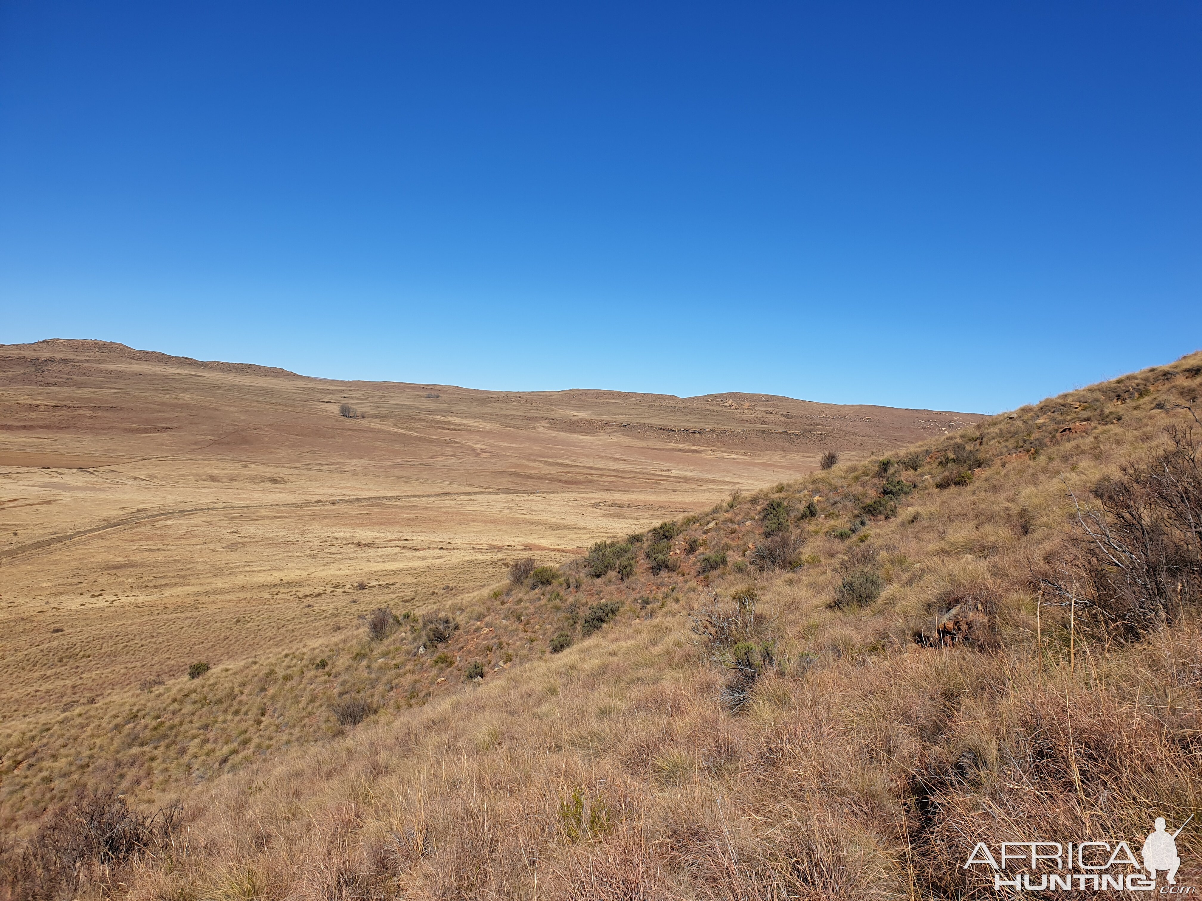 South Africa Vaal Rhebok Hunting Area