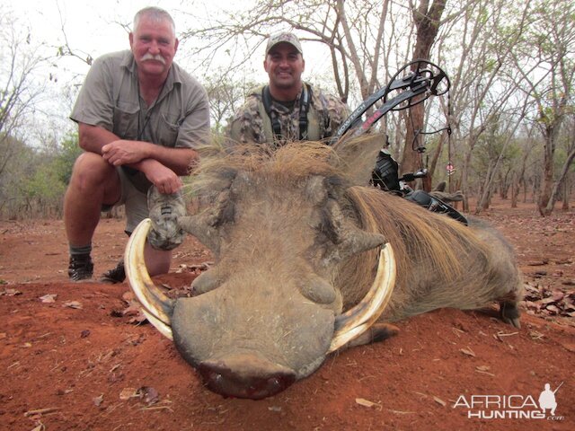 South Africa Warthog Bow Hunt