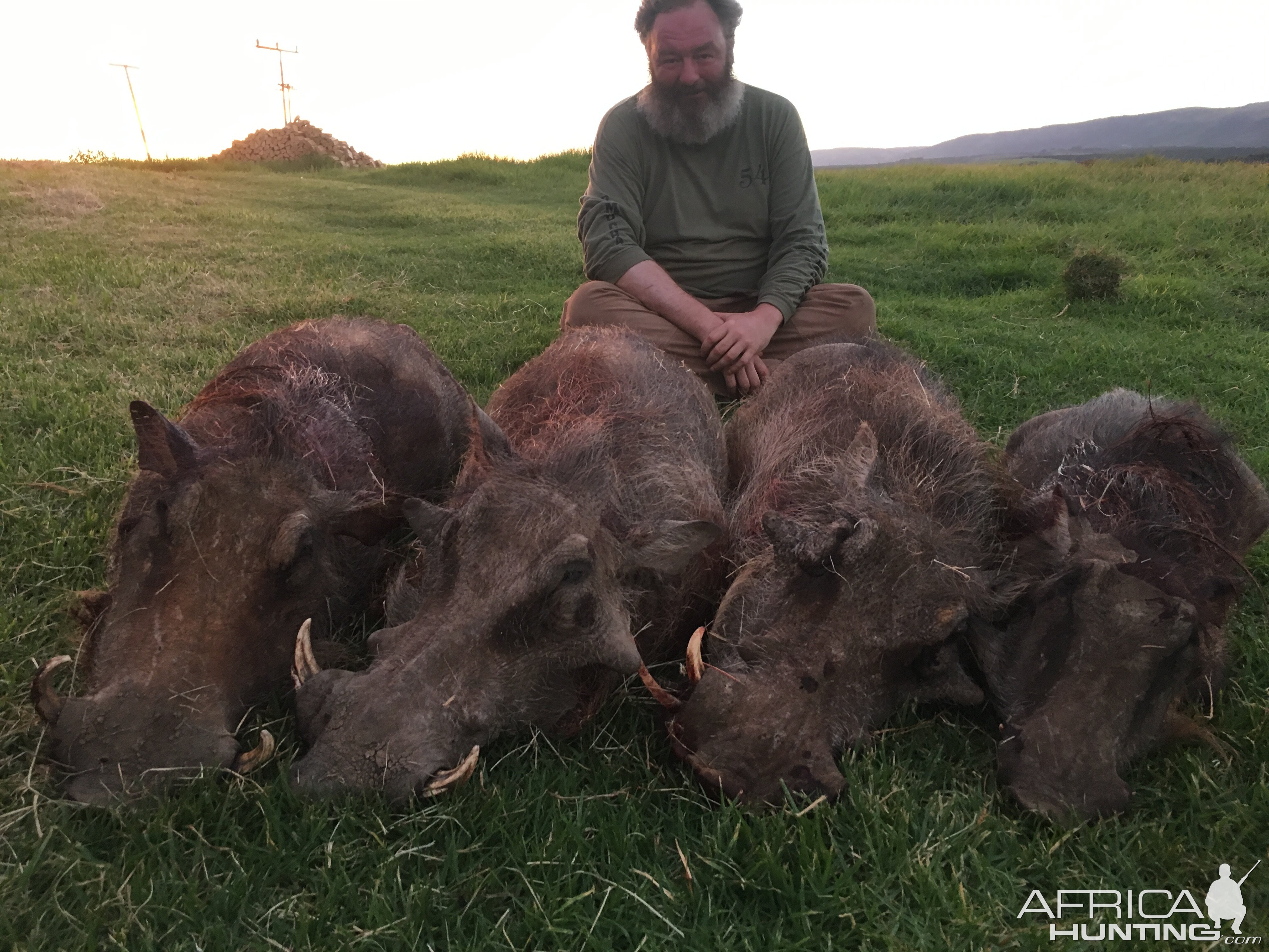 South Africa Warthog Cull Hunt South Africa