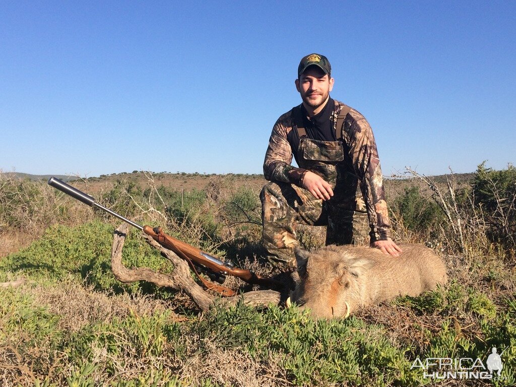 South Africa Warthog Cull Hunt