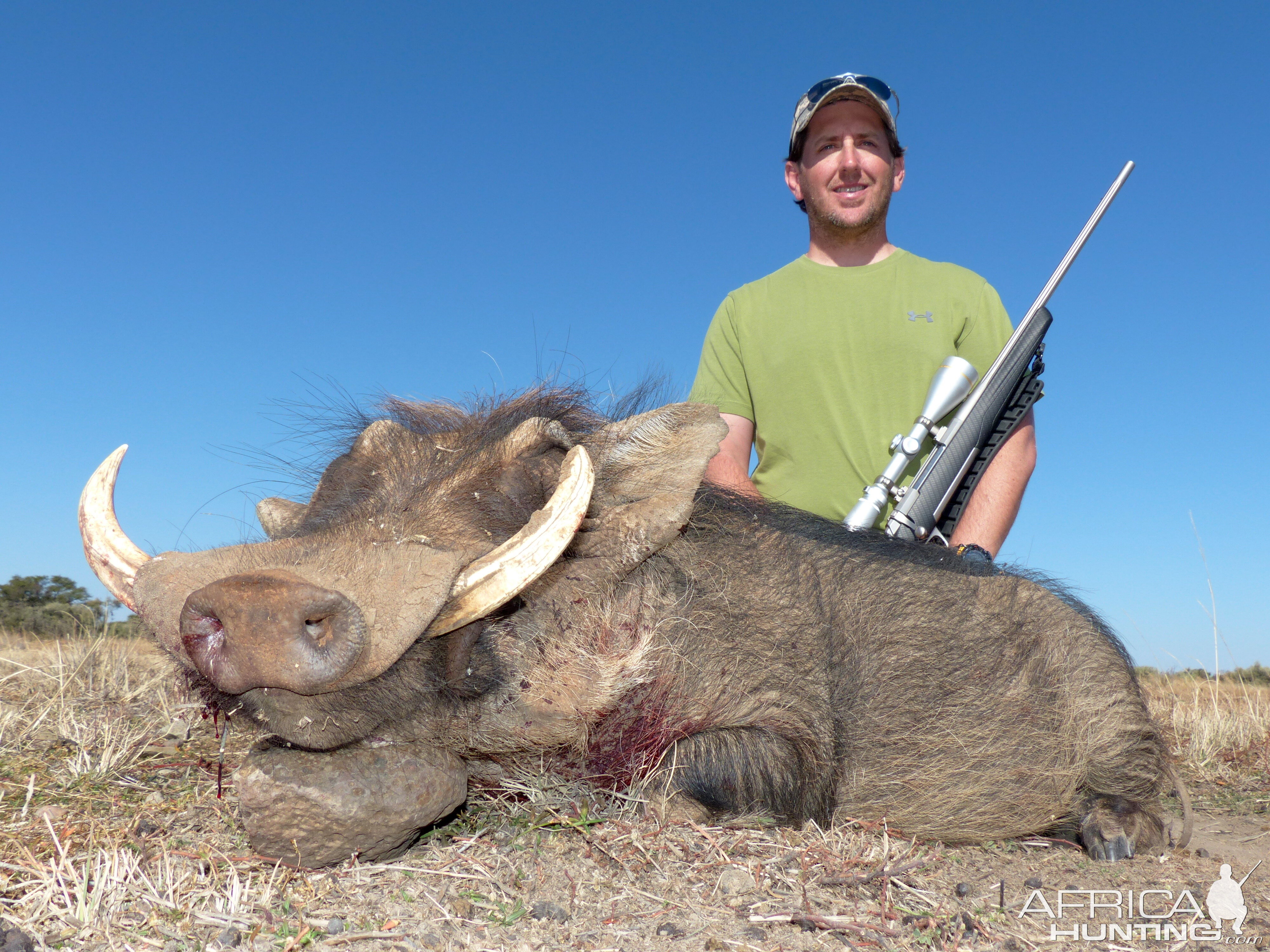 South Africa Warthog Hunt