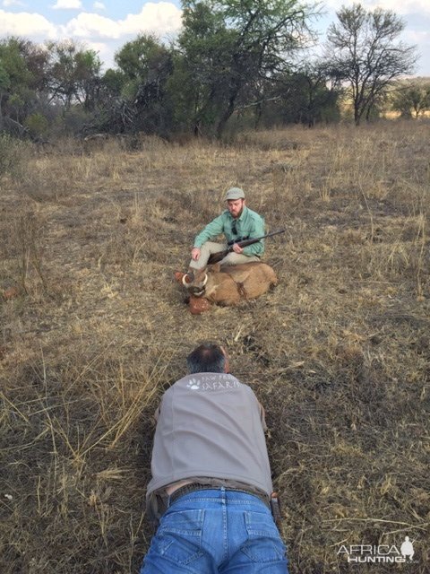 South Africa Warthog Hunt