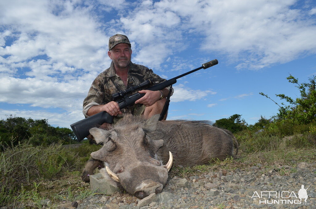 South Africa Warthog Hunt