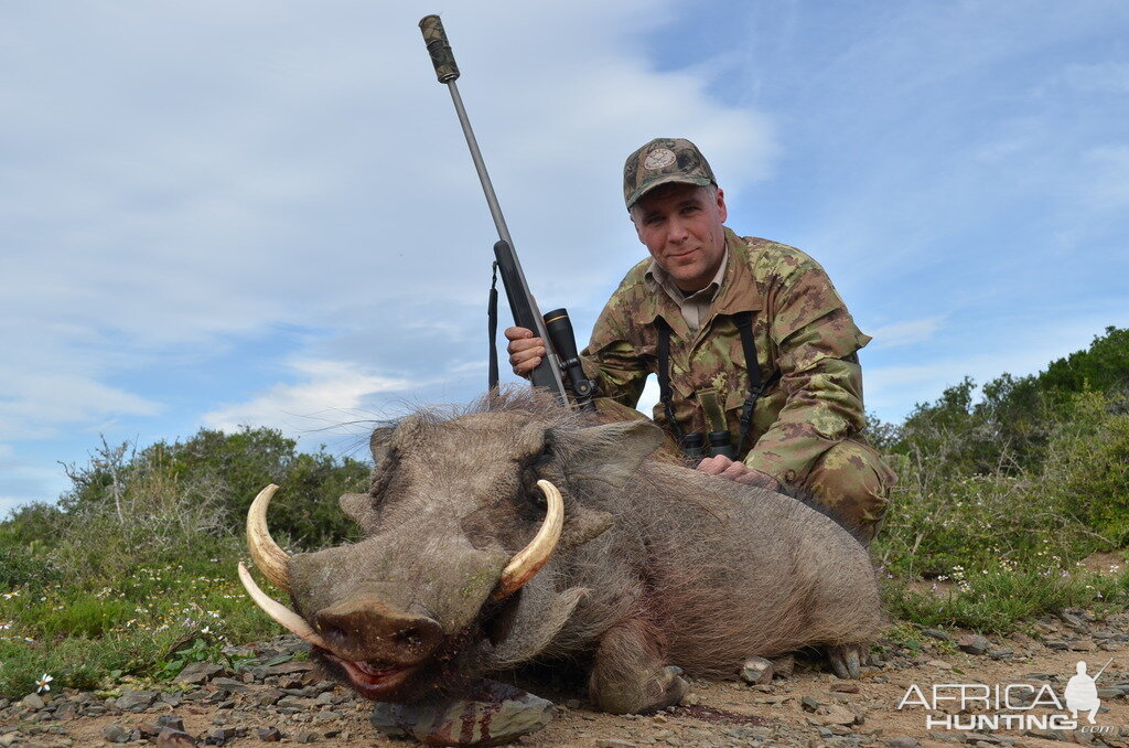 South Africa Warthog Hunt