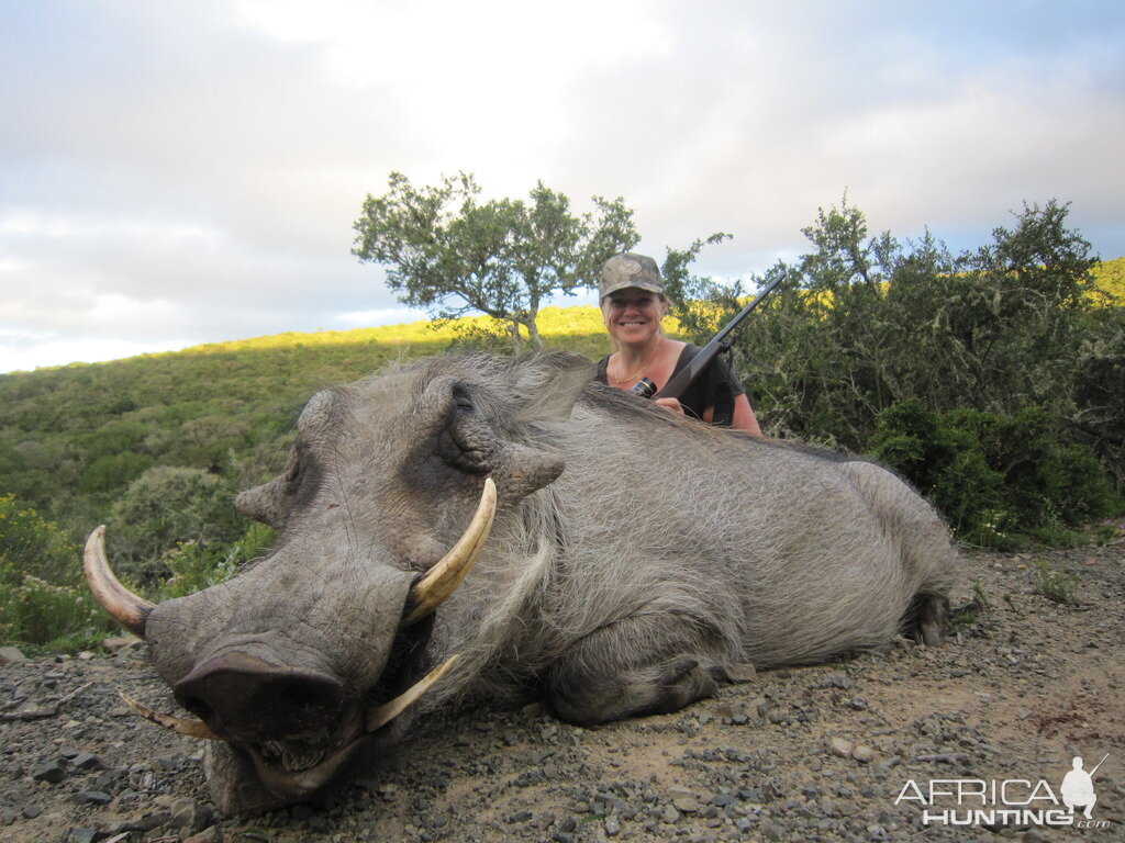 South Africa Warthog Hunt