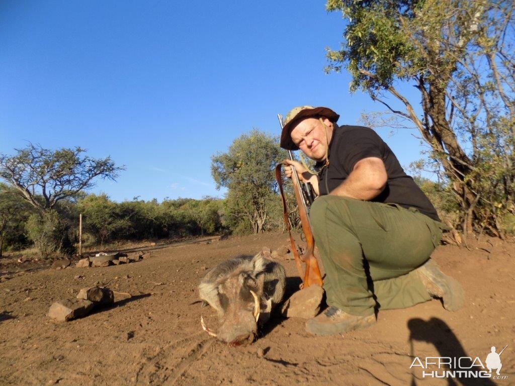 South Africa Warthog Hunt