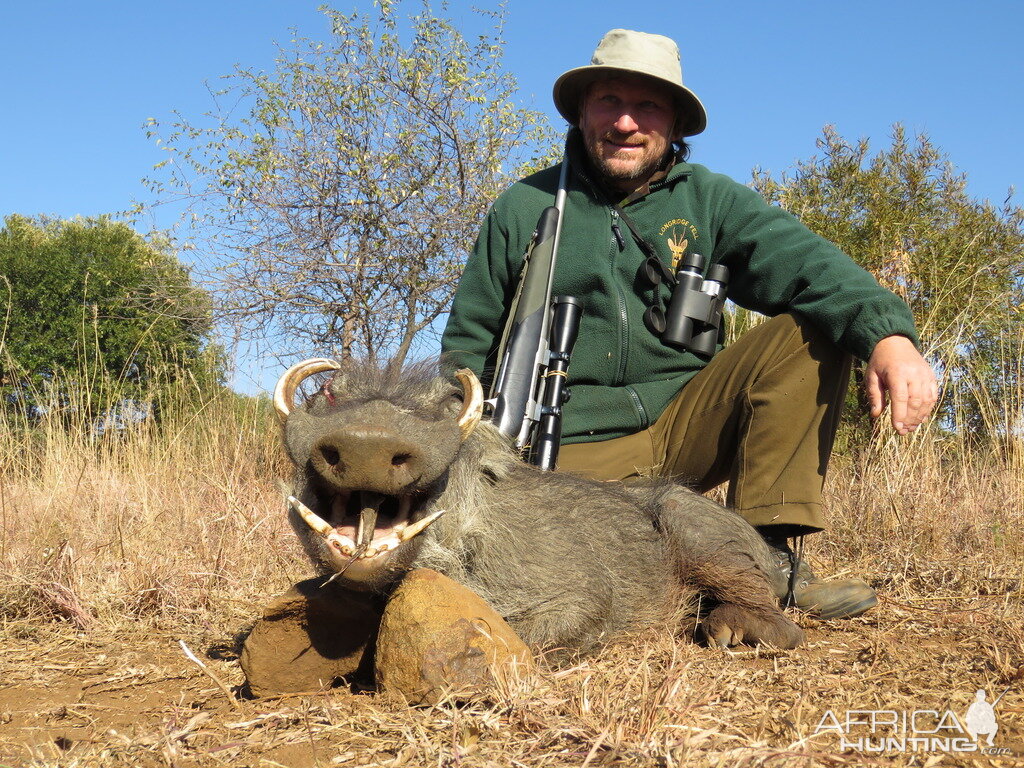 South Africa Warthog Hunt