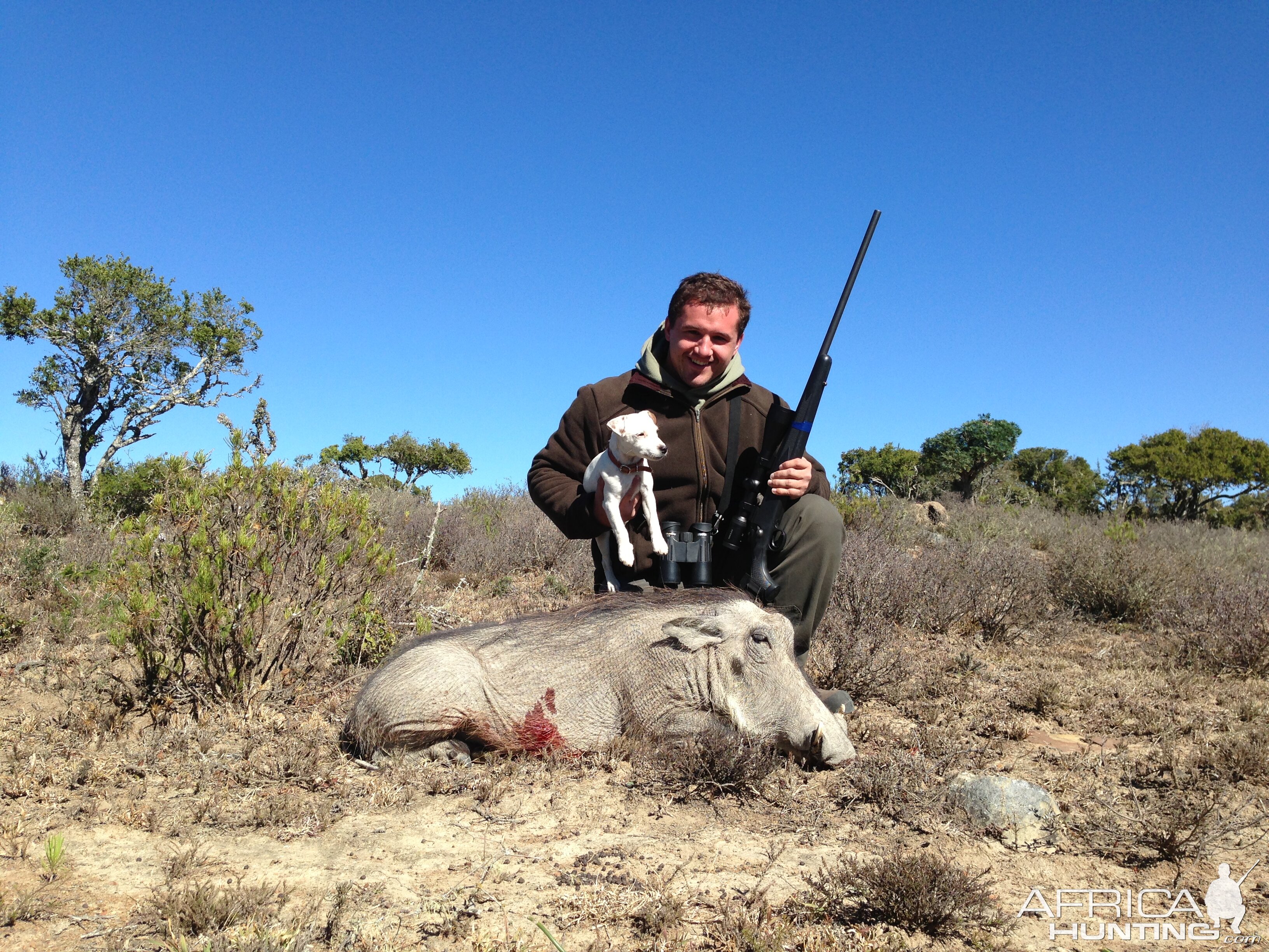 South Africa Warthog Hunt