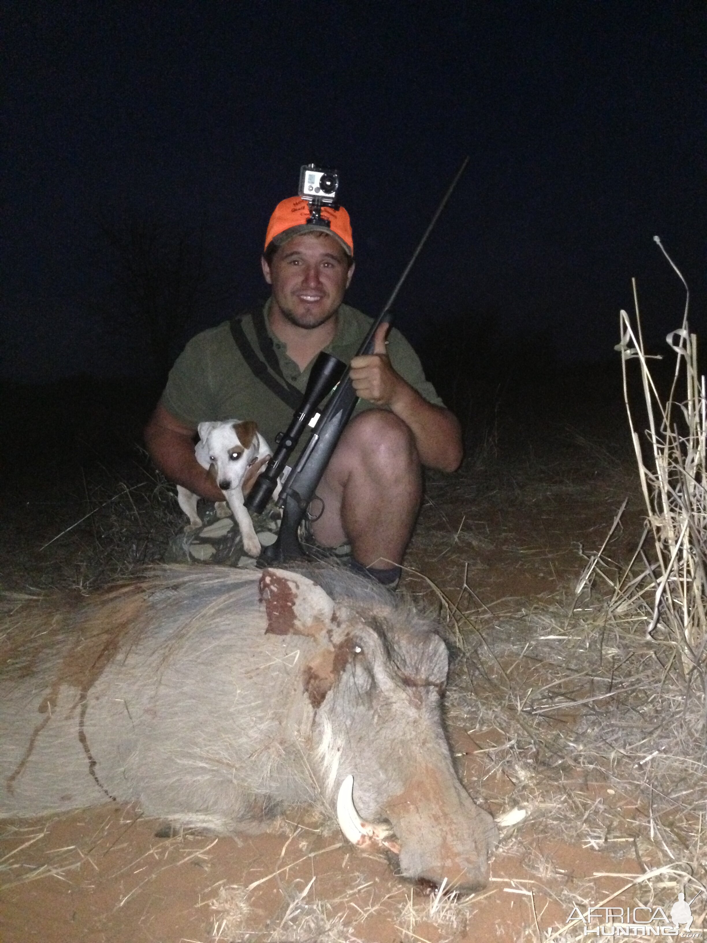 South Africa Warthog Hunt