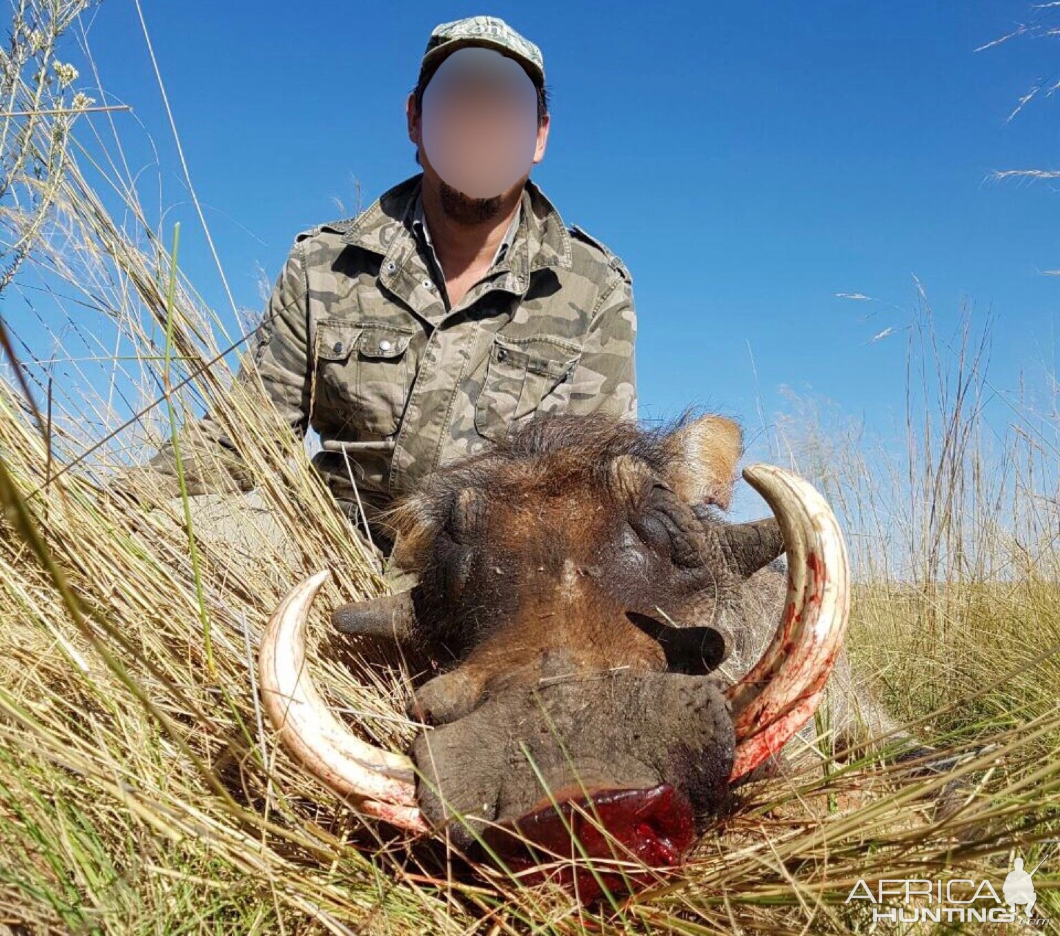 South Africa Warthog Hunt