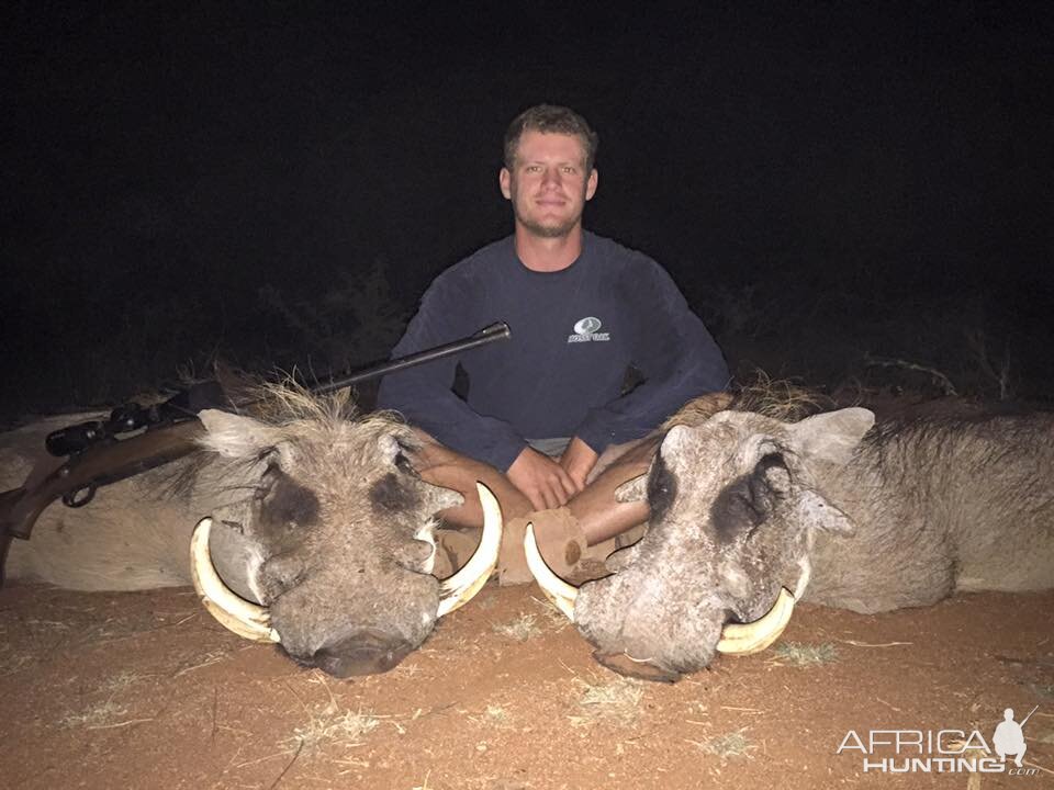 South Africa Warthog Hunt