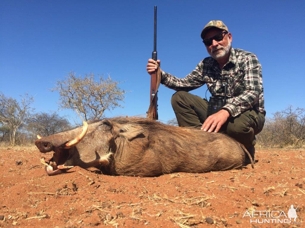 South Africa Warthog Hunt