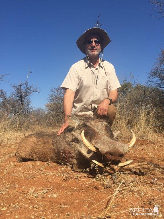 South Africa Warthog Hunt