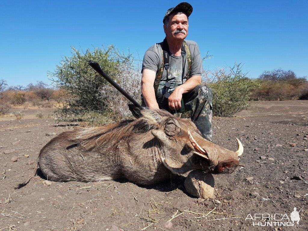 South Africa Warthog Hunt