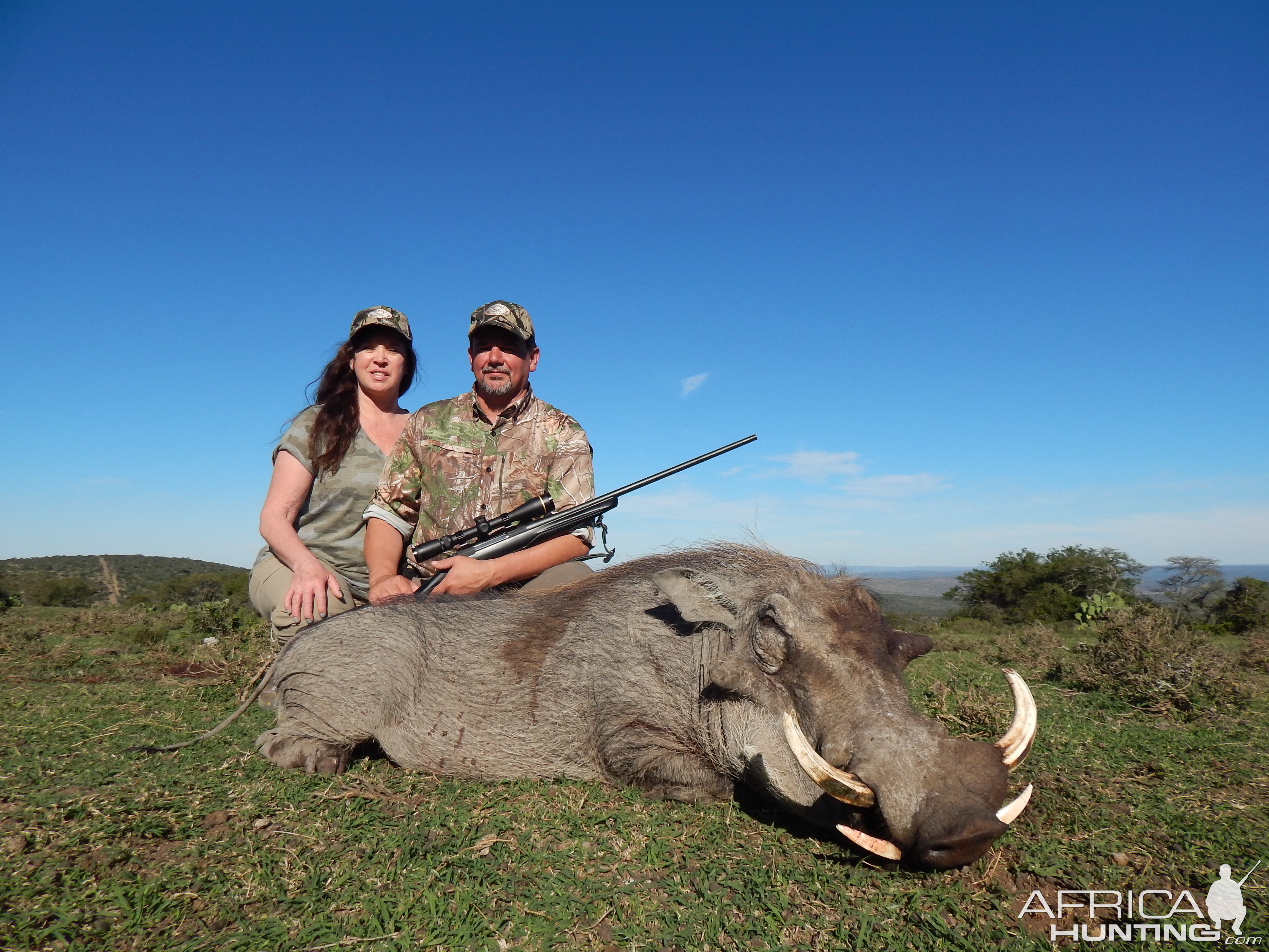 South Africa Warthog Hunt